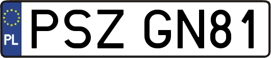PSZGN81