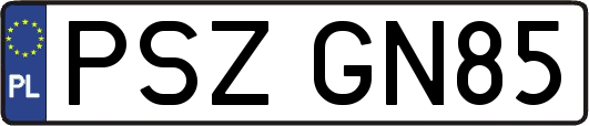 PSZGN85