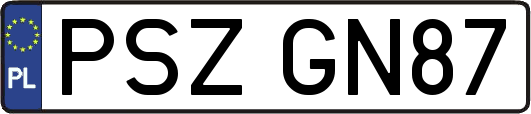 PSZGN87