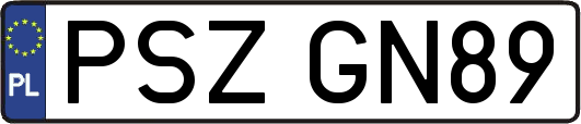 PSZGN89