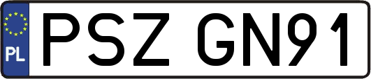 PSZGN91