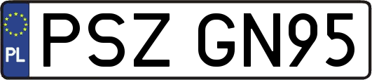 PSZGN95