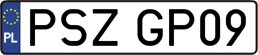 PSZGP09