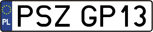 PSZGP13