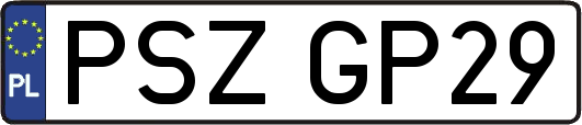 PSZGP29