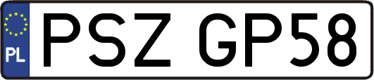 PSZGP58