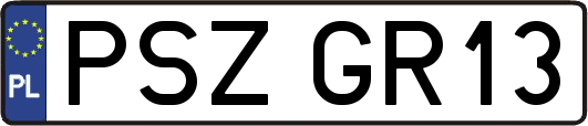 PSZGR13