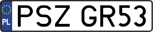 PSZGR53
