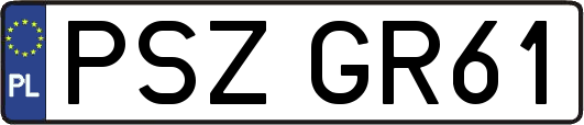 PSZGR61