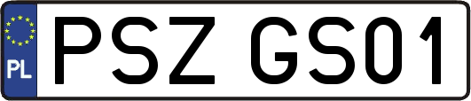 PSZGS01