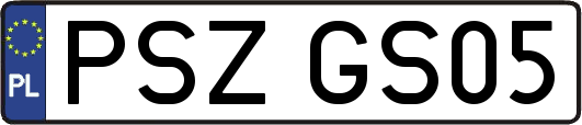 PSZGS05