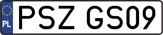 PSZGS09
