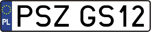 PSZGS12