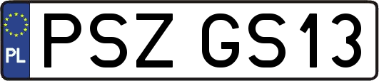 PSZGS13