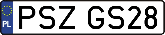 PSZGS28
