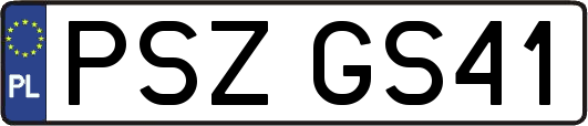 PSZGS41