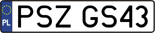 PSZGS43