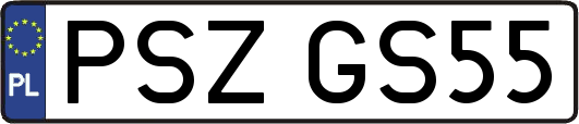 PSZGS55