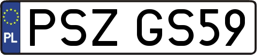 PSZGS59