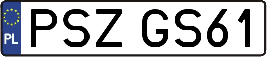 PSZGS61