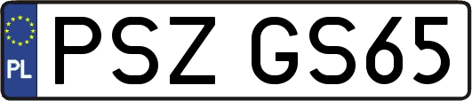 PSZGS65