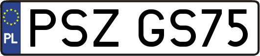 PSZGS75
