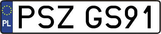 PSZGS91