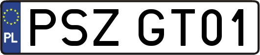 PSZGT01