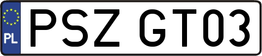 PSZGT03