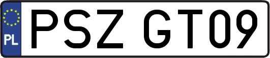 PSZGT09