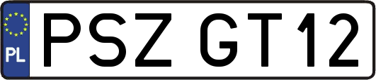PSZGT12