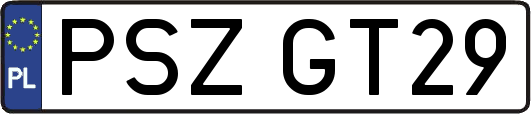 PSZGT29