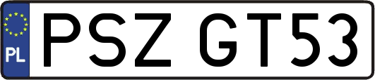 PSZGT53