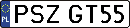 PSZGT55
