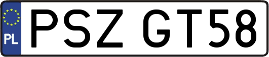 PSZGT58