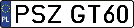 PSZGT60