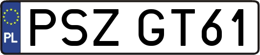 PSZGT61