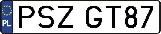 PSZGT87