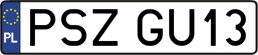 PSZGU13