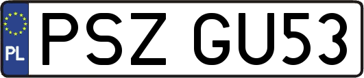 PSZGU53