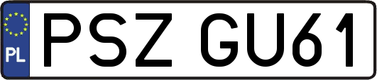 PSZGU61