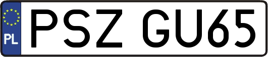 PSZGU65