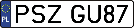 PSZGU87