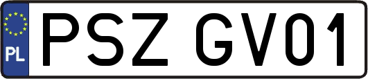 PSZGV01