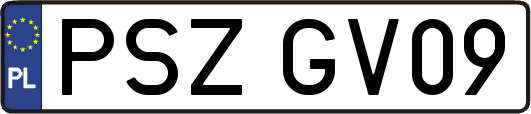PSZGV09