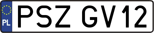 PSZGV12