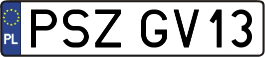PSZGV13