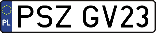 PSZGV23