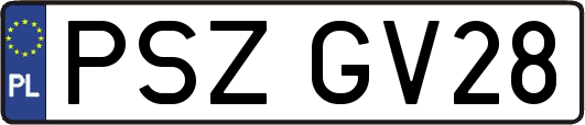 PSZGV28