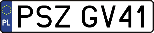 PSZGV41